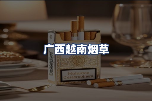 广西越南烟草